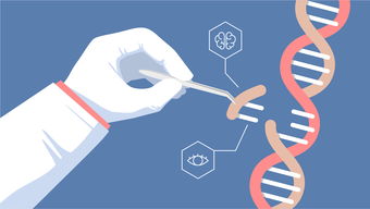 基因编辑的进展：重塑生命科学的未来