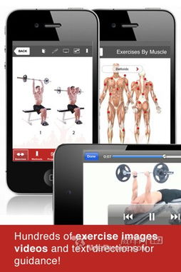 手机健身软件排行榜第一名：助力健康生活的利器